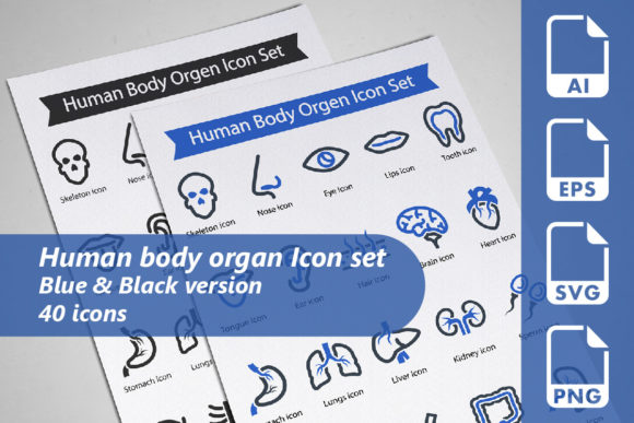 Explore the Human Body Organ Icon Set